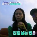 플로렌스안경 이미지