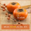 배감 이미지