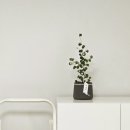 오비5길 이미지