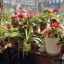 뚝방어죽매운탕 이미지