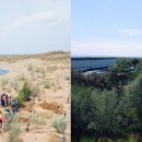 태양상회 이미지