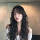살롱 세레니티 티스토리