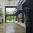 파주 실내 가볼만한곳｜책으로 가득한 '지혜의 숲' 다녀온 후기📖