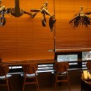 토브헤어 이미지