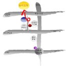 한국활법