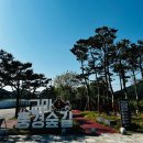 고마센터 | 공주 숨은 산책 명소｜아기랑 걷기 좋은 고마풍경숲길