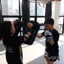 태권도 한국체육관 이미지