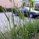 행복소아청소년과의원 이미지