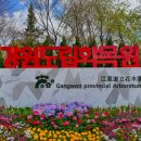 강원도립화목원 이미지