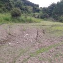 엄정면사무소 이미지