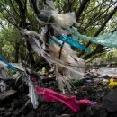 육지와바다 이미지