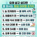 타이밍 - 유성구 대학로 8 | 타이밍