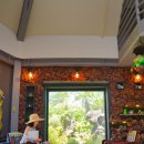 방림원 식물원 이미지