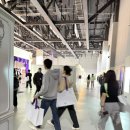 러블리숑 | 2025 컬리푸드페스타, 토요일 오전 다녀온 후기💜