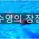 향남 KSC 키즈풀 이미지
