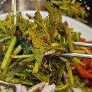 정(精)든 보쌈 | [장안동 맛집] 재방문 장안동족발 맛집 박가족미나리족발 신메뉴 한판오징어보쌈 방문후기