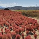 제일목장(2) 이미지