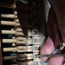 원주브리딩 이미지