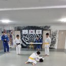 용인대 대전유도관 이미지