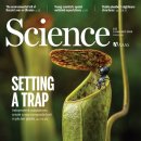 형태와구조(주) 이미지