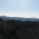 저지오름 Daum카페