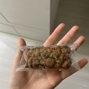 첨담기업4로1L-2 | 미금역 카페 본디커피 미금역 솔직후기