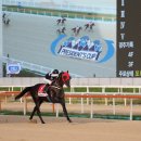 (주)디알엠 이미지