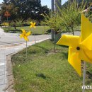 안남면행정복지센터 이미지