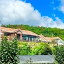 스테이 수궁 이미지