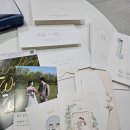 감성일러스트 | ❄️ 겨울 감성 듬뿍, 보자기카드 일러스트 청첩장 내돈내산 후기