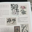 색연필로 그리는 꽃, 보태니컬 아트 | [ 컬러링] 다양한 꽃을 그릴 수 있는 " 명화로 처음 시작하는 보태니컬 아트 "후기