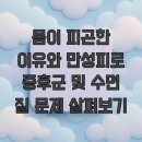 몸이 피곤한 이유와 만성피로 증후군 및 수면 질 문제 살펴보기
