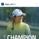 오이모네 이미지