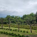 영원목장 이미지