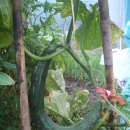 영윤농장 이미지