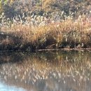 라 까시나 이태리 이미지