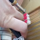 영창고무 이미지