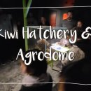 로토루아 Kiwi Hatchery & Agrodome 방문영상 [타우랑가 비전유학원] 이미지