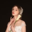 바이벨라 이미지