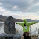 포독스1 이미지