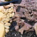 스테이휴 물.새.숲 이미지