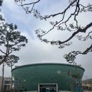 부안어린이공원 | 전북 부안 아이와가볼만한곳 부안청자박물관에 다녀왔어요 :)