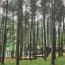 공작산 휴양림 펜션 | “도심 탈출 성공✨ 숲속에서 보내는 진짜 하루”