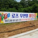 로즈 무인텔 이미지