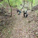 금빛환경 이미지