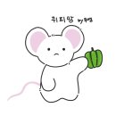 얼레벌레 2023년 총정리(2)