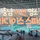 쉬다가개 애견호텔유치원 이미지