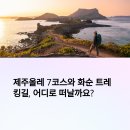 제주 올레길 7코스 | 제주올레 7코스 완주후기! 월평동~화순 트레킹 코스