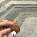 진천쌀빵미잠미과하남미사