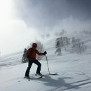 파우더 스키 여행 이미지